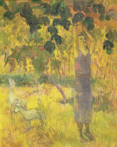 Man Picking Fruit from a Tree, 1897 by Paul Gauguin